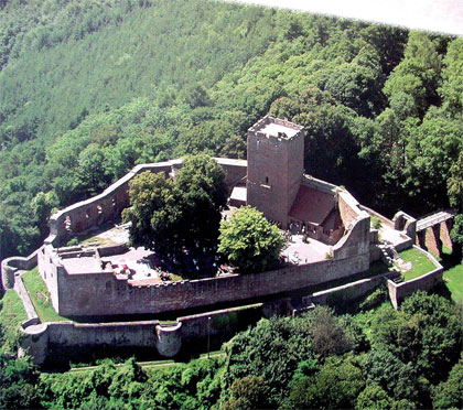 Burg_Luftbild1_W.jpg